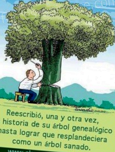 Quel est l'arbre généalogique?