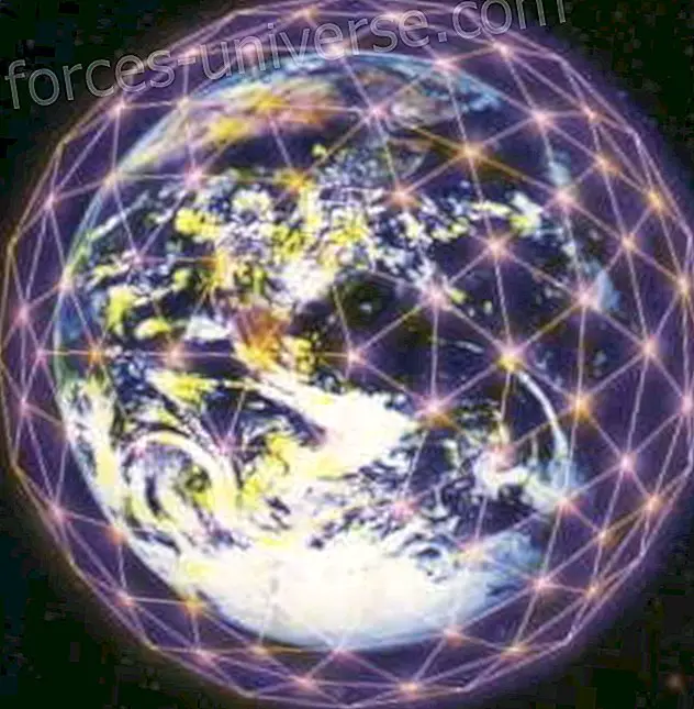Planetary Grid Project - Building the Networks.- Wisdom and knowledge - 