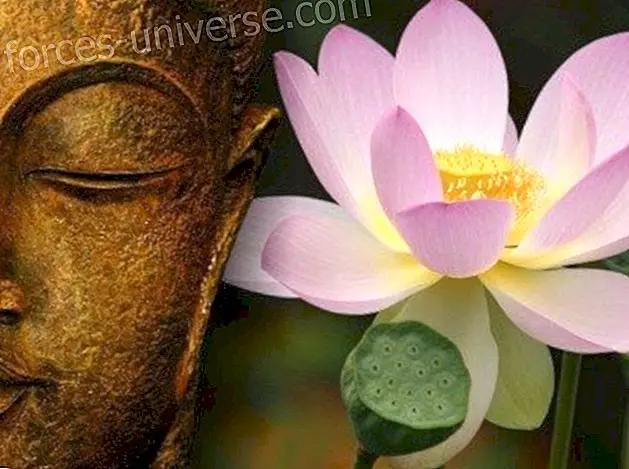 Le mantra sacré: Namas Saddharma Pundarika Sutra - Sagesse et connaissance