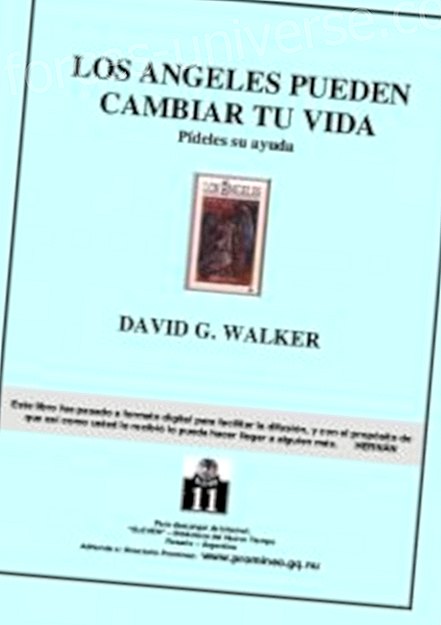 Libro: Gli angeli possono cambiarti la vita "Chiedi il loro aiuto" di David G. Walker - Saggezza e conoscenza