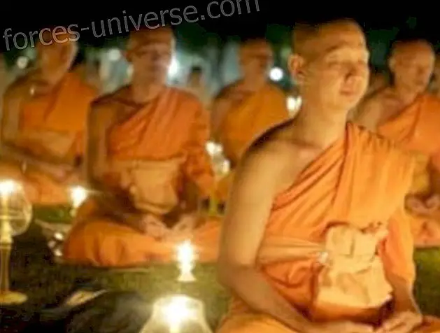 budisme Humanitari - Saviesa i Coneixement