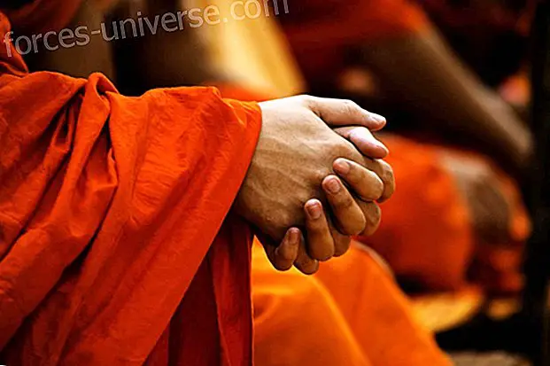 Sayadaw U Kundalabhivamsa: Bemærk fra denne store lærer om meditation i daglige aktiviteter (del 4)