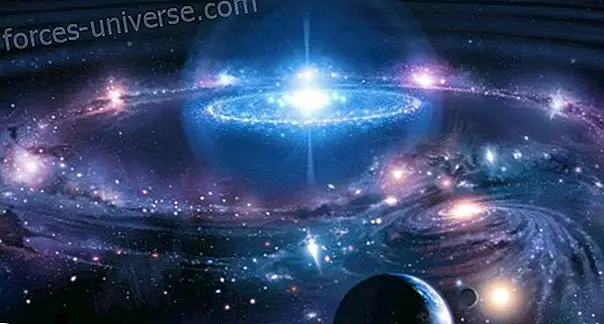 UNITATEA: legea universului.  De Ra