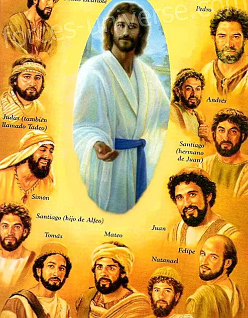 The Apostles of the Master Jesus. - Wisdom and knowledge