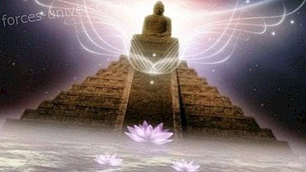 Turiya, el misteriós quart estat de la consciència - Saviesa i Coneixement