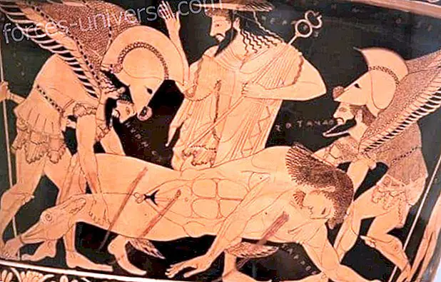 Asopo, kreikkalainen jumala - Viisautta ja tietoa