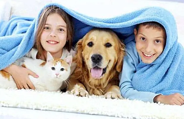 Our children and their pets.  Granting care and love creates stable and harmonious beings.