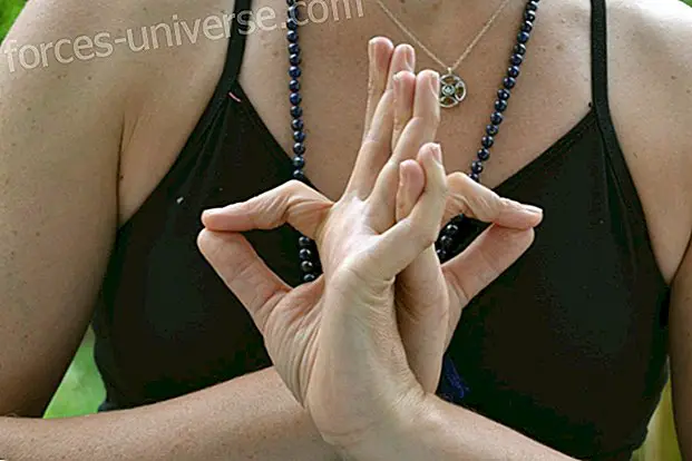Significat dels Mudras: La importància dels gestos de la mà en les nostres meditacions