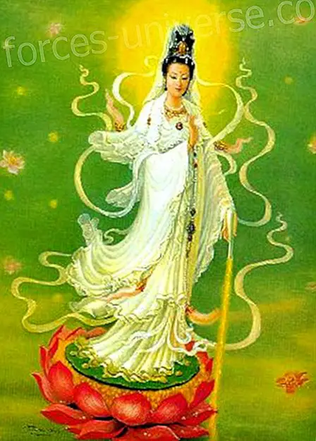 Dekret til den elskede mor Kwan-Yin Visdom og viden 