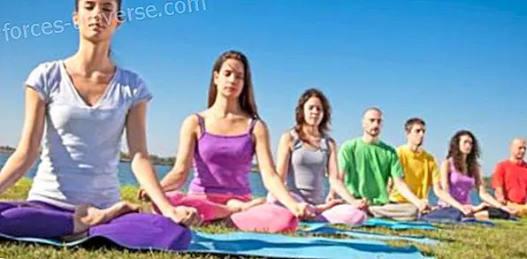 Karma-yogas bevidsthed