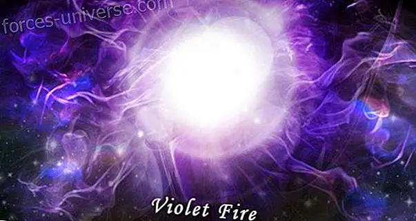 Bob Fickes ~ Violet Fire - Wisdom and knowledge