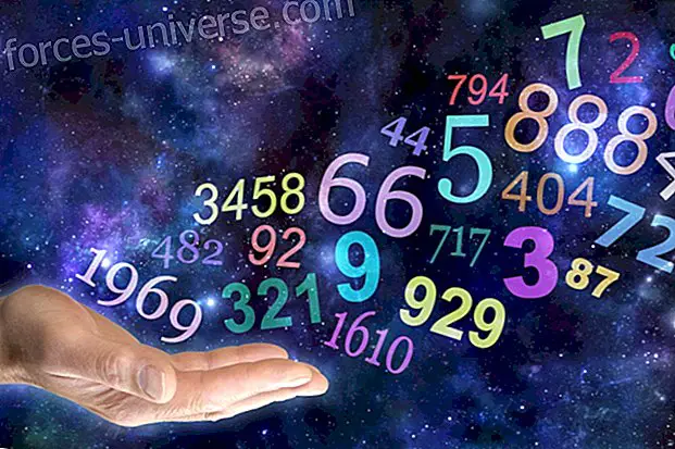 El més important que cal saber sobre numerologia: avui, el significat 113 'els números et parlen!