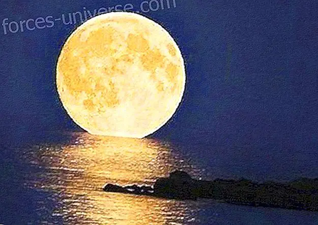 Magic Full Moon in the Night of San Juan by Lur García - Wisdom and knowledge