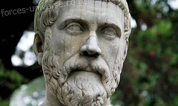 Pythagoras: Stormesteren i visdom og hellig geometri