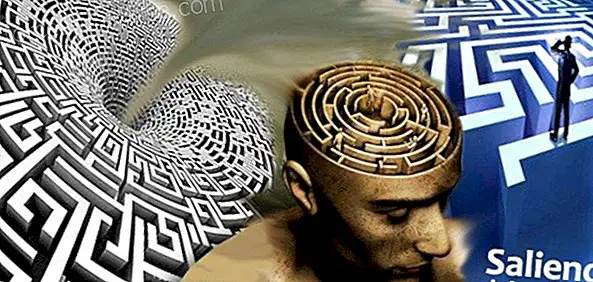 Poistuminen labyrintistä - Viisautta ja tietoa