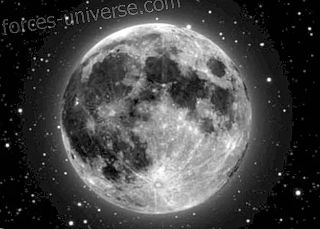 Kuu faasid - Tarkus ja teadmised
