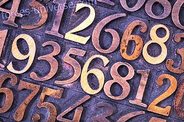 Igapäevane numeroloogia - Tarkus ja teadmised