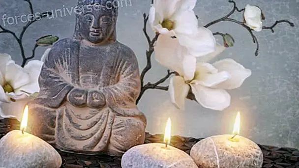 Endinsa't en el teu Esperit!  Meditació dels Quatre Elements - Saviesa i Coneixement
