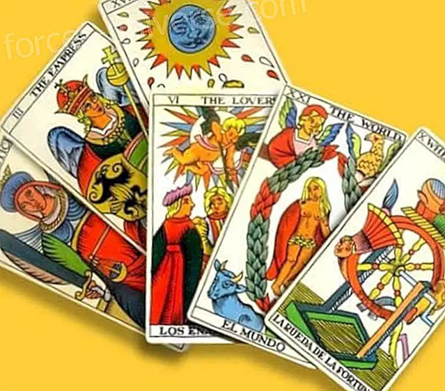 Entdecken Sie Ihre Tarot-Jahreskarte- Weisheit und Wissen - 