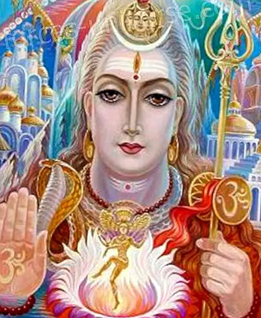 Shiva palkitsee kaikki henkiset ponnistelut näinä aikoina - Viisautta ja tietoa