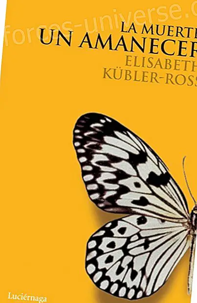  - Buku-buku Elizabeth Ross yang paling terkenal