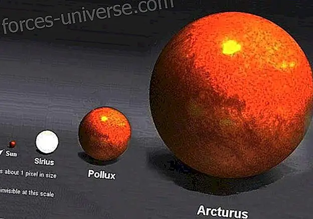 Jasmuheen: Arcturus, kuka on Arcturus?  ja kuinka rakentaa oma kiteinen valokehosi - Viisautta ja tietoa
