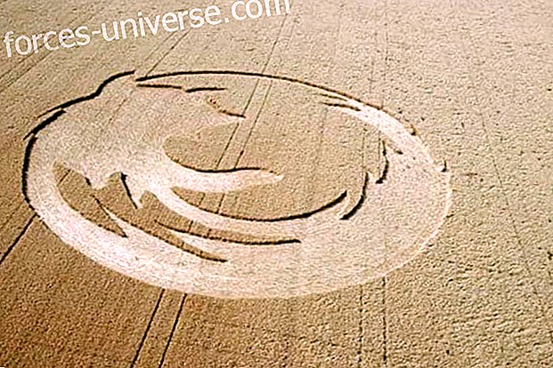 10 of the best crop circles ... Sacred Geometry - Wisdom and knowledge