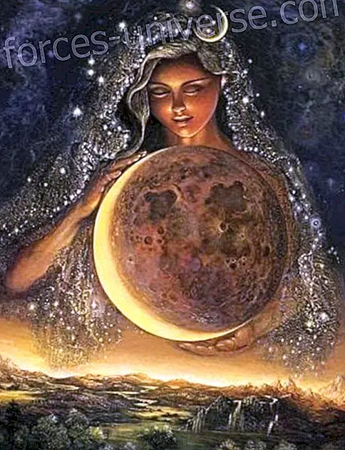 Oració de les Dones Guardianes de la Terra (autora anònima) - Saviesa i Coneixement