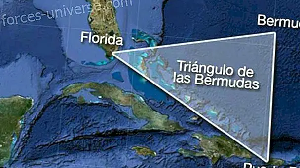 Bermuda kolmnurk: salaportaal