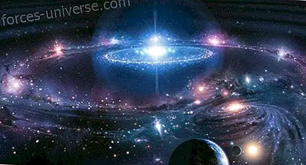 Kosmiske love, universelle principper, af Ricardo Gonzalez - Visdom og viden