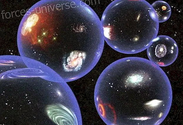 5 motive care explică „Teoria multiversului Înțelepciune și cunoaștere 2022