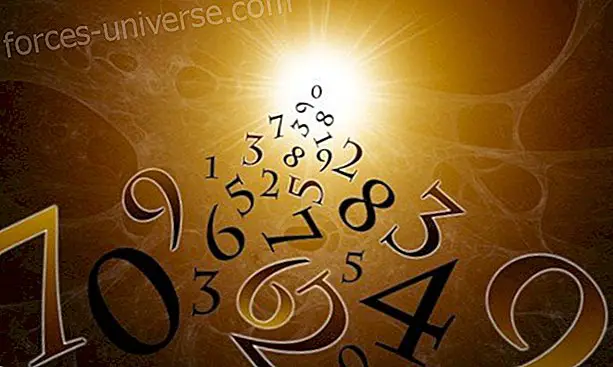 संख्या विज्ञान।  ज्ञान के मामले जो हमें ब्रह्मांड से बांधते हैं।
