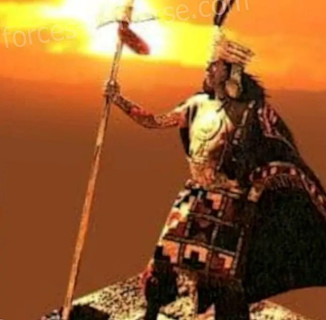 Inka-profeti af ørnen og kondor - Visdom og viden