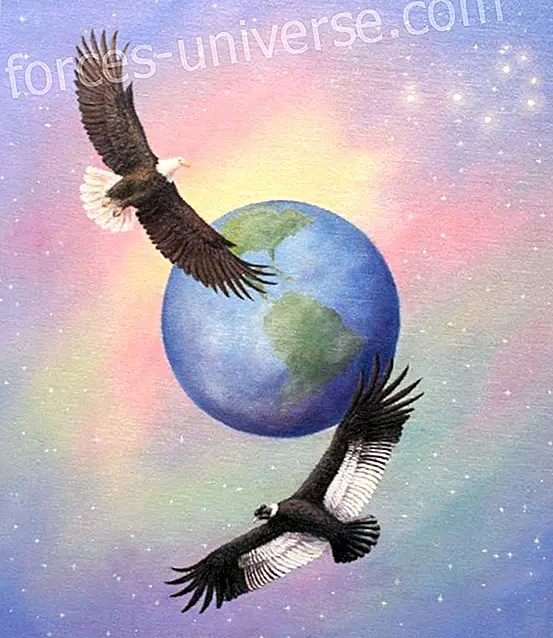 La Pau Mundial i l'Harmonia de la "Llei de l'Un" al Planeta Terra, per Celia Fenn - Saviesa i Coneixement