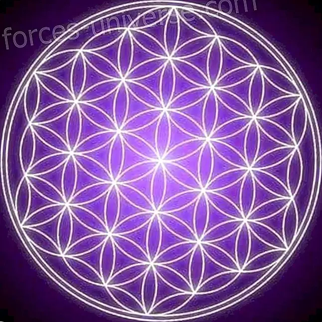 Do you know what the Flower of Life is?  Here we tell you! - Wisdom and knowledge