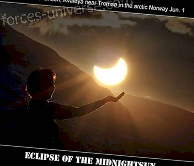 Ciclul Eclipsei Transformatoare din iunie de Aluna Joy Yaxk'in- Înțelepciune și cunoaștere - 