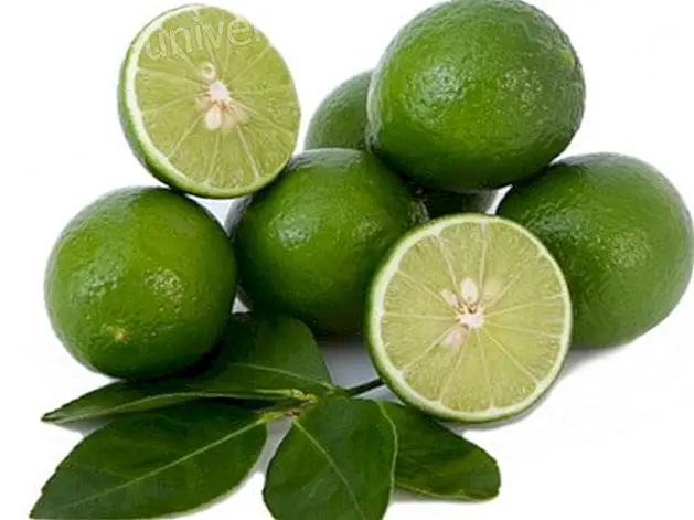 Valeur nutritive, avantages et propriétés médicinales du citron Prendre soin de votre santé est fondamental!