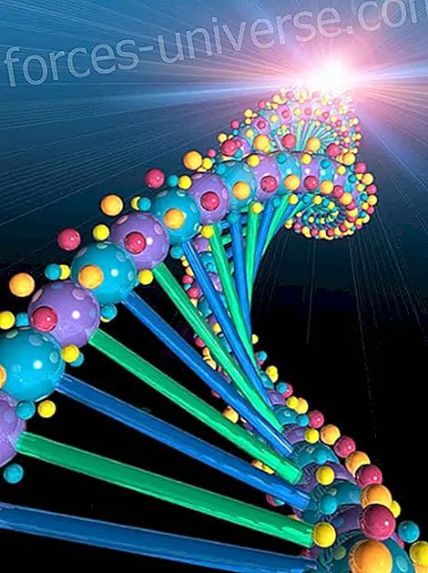 Den accelererede DNA-kodningsproces - Bevidst liv