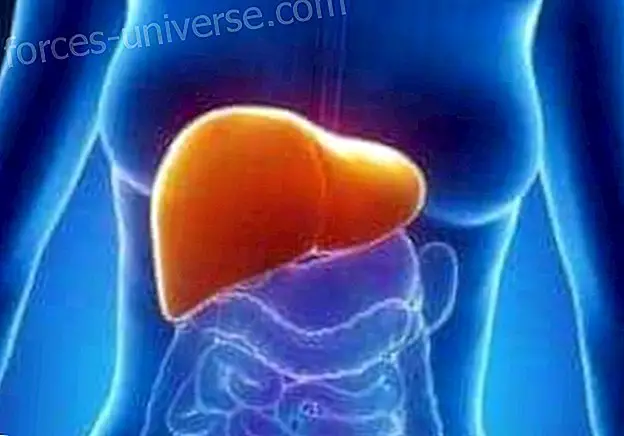 God pancreas sundhed: naturlige tip og nogle retsmidler, der hjælper - Bevidst liv