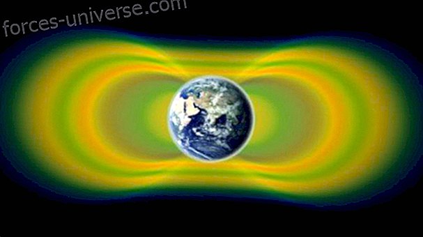 NASA opdager et tredje stråleremme rundt om jorden. - Bevidst liv