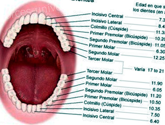 Odontologia Holística.  Les emocions i els trastorns dentals - vida Conscient