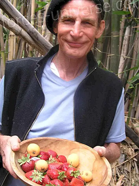 Teadlik toitmine, dr. Gabriel Cousens - Teadlik elu