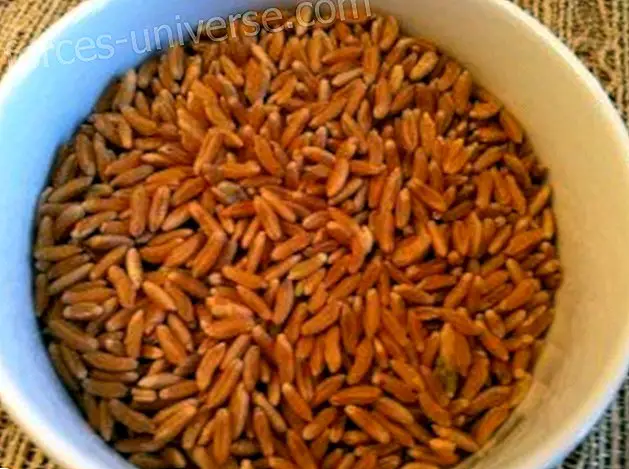 Wheat Kamut: isang cereal na may kasaysayan na mayaman sa mga bitamina at mineral. - Buhay ng Malay