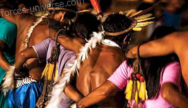 La Saviesa Ancestral Indígena i les seves plantes medicinals i energètiques - vida Conscient