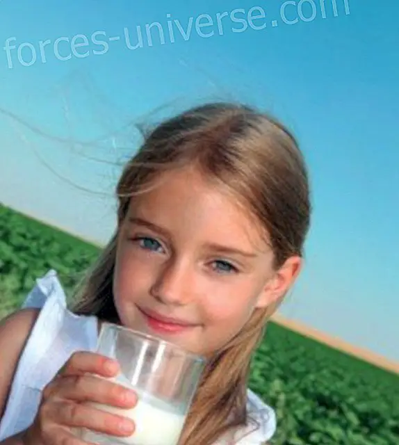 Vegetable milks: properties and nutrients - Conscious Life