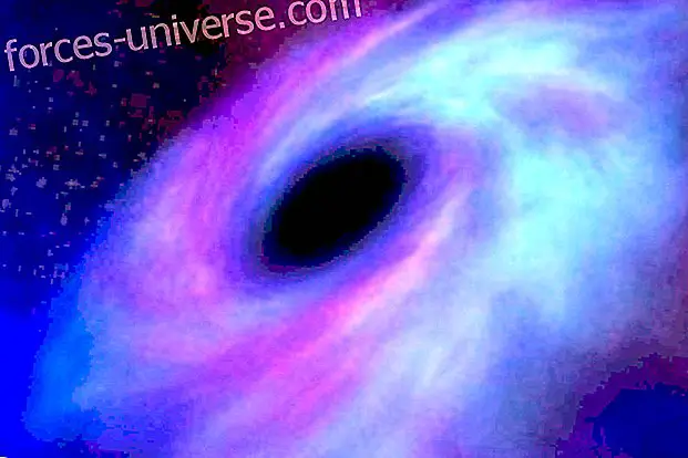 Găurile negre din noi - Viața conștientă