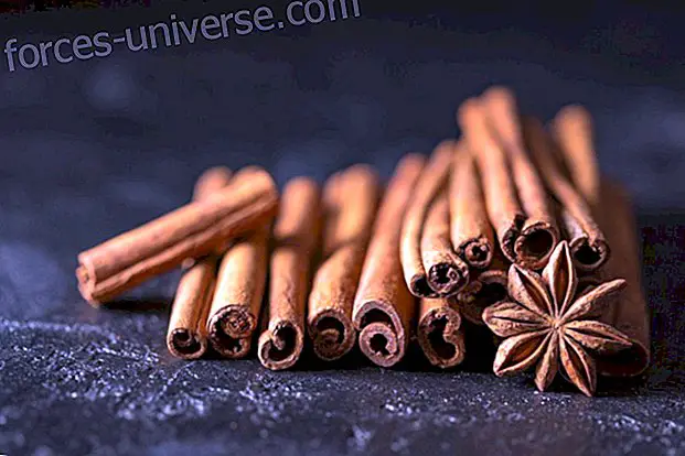 Properties of Cinnamon: Origins, types and everything that this spice can contribute to our health