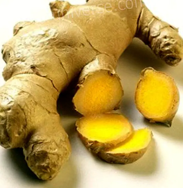 The magnificent properties of Ginger - Conscious Life