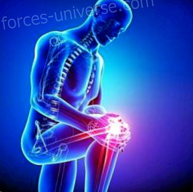 The emotional meaning of Knee conflicts - Conscious Life
