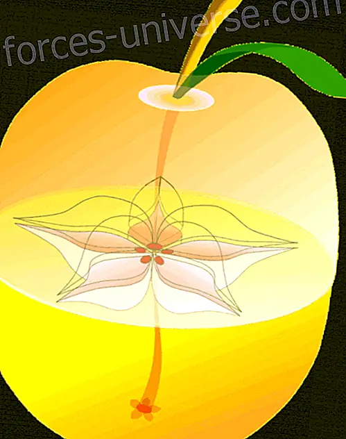 Est-ce que la pomme garde un pentagramme magique dans ton cœur?